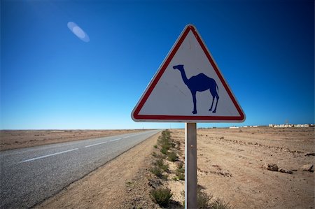 simsearch:841-03033156,k - Rare highway warning sign, Western Sahara desert in Morocco. Stockbilder - Microstock & Abonnement, Bildnummer: 400-04316248
