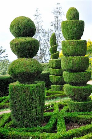 funchal - Decorative green park - Botanical garden Funchal, Madeira Foto de stock - Super Valor sin royalties y Suscripción, Código: 400-04316925