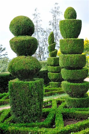 Decorative green park - Botanical garden Funchal, Madeira Foto de stock - Super Valor sin royalties y Suscripción, Código: 400-04316925