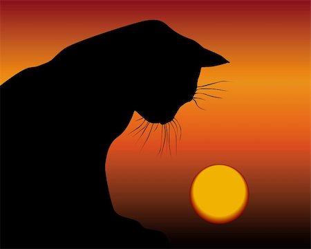 black cat and the setting sun on an orange background Photographie de stock - Aubaine LD & Abonnement, Code: 400-04316984