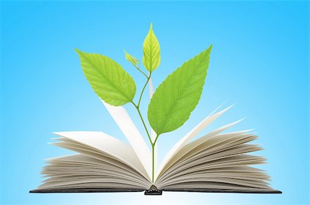 education abstract - Book and plant over blue background Stock Photo - Budget Royalty-Free & Subscription, Code: 400-04317188