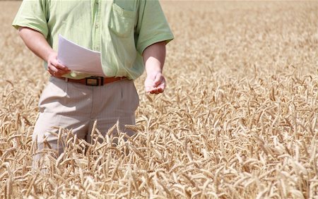 simsearch:400-04064843,k - A man standing in field of wheat. Fotografie stock - Microstock e Abbonamento, Codice: 400-04317233