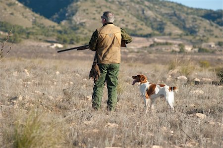 simsearch:400-04288829,k - Quail hunter in camouflage clothing walking across the field Photographie de stock - Aubaine LD & Abonnement, Code: 400-04318376