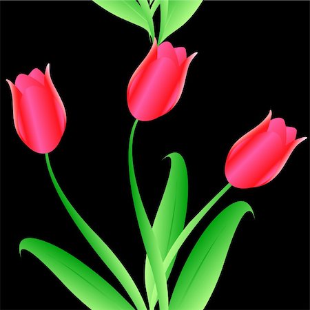 Elegance Seamless color tulips pattern on  background, vector illustration Stock Photo - Budget Royalty-Free & Subscription, Code: 400-04318413