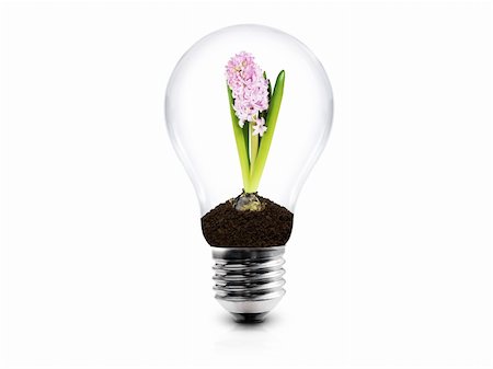 simsearch:400-04626612,k - Lightbulb with young plant in soil isolated on white Foto de stock - Super Valor sin royalties y Suscripción, Código: 400-04318844