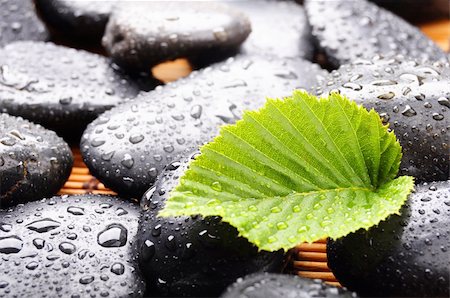 simsearch:400-04640528,k - zen stone with green leaf or water drops showing spa or wellness concept Stock Photo - Budget Royalty-Free & Subscription, Code: 400-04318966