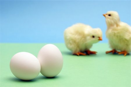 simsearch:824-02888964,k - A couple eggs are in focus while a couple chicks are blurred in the background. Foto de stock - Royalty-Free Super Valor e Assinatura, Número: 400-04318979