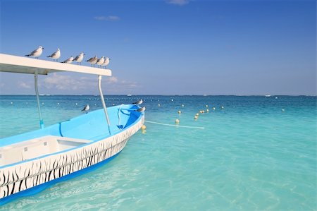 blue boat seagulls Caribbean in  turquoise sea Foto de stock - Super Valor sin royalties y Suscripción, Código: 400-04319322