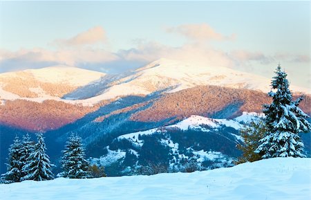simsearch:400-04319458,k - winter sunset mountain landscape with rime and snow covered spruce trees  (Carpathian, Ukraine) Stock Photo - Budget Royalty-Free & Subscription, Code: 400-04319458