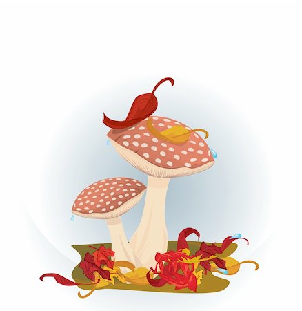 simsearch:400-06094336,k - Red Mushrooms Photographie de stock - Aubaine LD & Abonnement, Code: 400-04319637