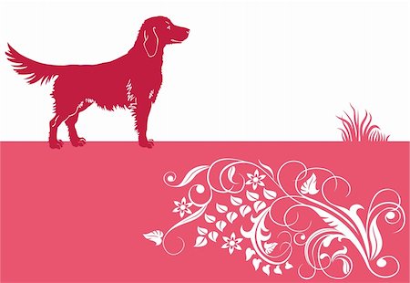 retriever silhouette - Banner with dog and floral ornament. Stock Photo - Budget Royalty-Free & Subscription, Code: 400-04310253