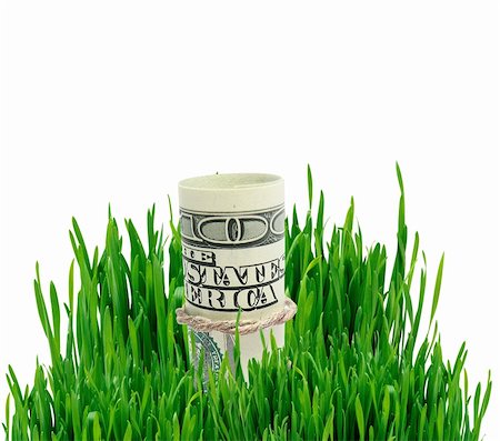 simsearch:400-05384689,k - Growing money in green grass over white background. Financial concept Stock Photo - Budget Royalty-Free & Subscription, Code: 400-04311293