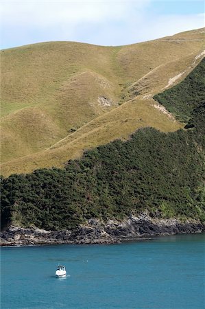 rolandsp (artist) - Fjord in the Queen Charlotte Sound in New Zealand Photographie de stock - Aubaine LD & Abonnement, Code: 400-04311356