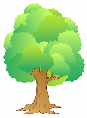 simsearch:400-08621985,k - Big tree with green treetop - vector illustration. Stock Photo - Budget Royalty-Free & Subscription, Code: 400-04311413