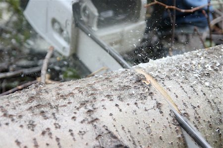 simsearch:400-04364349,k - Close up view of chain-saw / chainsaw cutting trunk Stock Photo - Budget Royalty-Free & Subscription, Code: 400-04311809