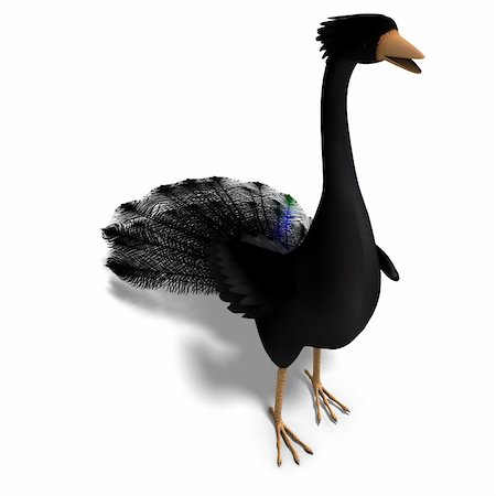 simsearch:400-04793730,k - black fantasy bird with beautiful feathers. 3D rendering with clipping path and shadow over white Foto de stock - Royalty-Free Super Valor e Assinatura, Número: 400-04311895