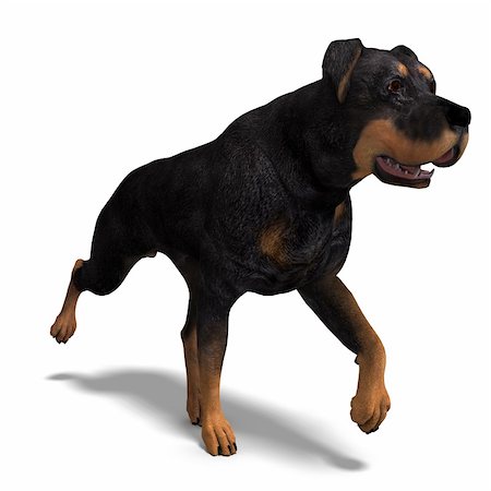 Rottweiler Dog. 3D rendering with clipping path and shadow over white Stock Photo - Budget Royalty-Free & Subscription, Code: 400-04311899