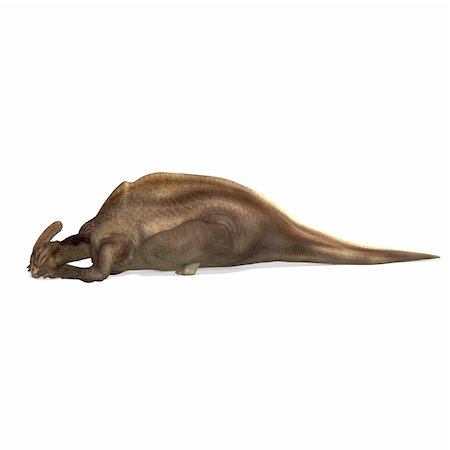 simsearch:400-04818670,k - Dinosaur Parasaurolophus. 3D rendering with clipping path and shadow over white Foto de stock - Royalty-Free Super Valor e Assinatura, Número: 400-04311904