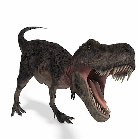 Dinosaur Tarbosaurus. 3D rendering with clipping path and shadow over white Stock Photo - Budget Royalty-Free & Subscription, Code: 400-04311905