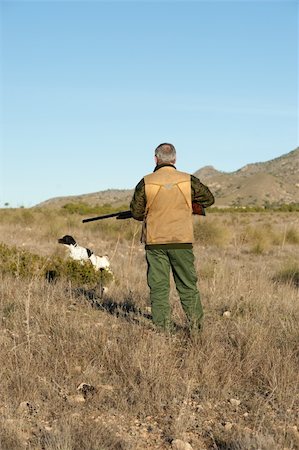 simsearch:400-04288829,k - Hunter and pointer dog watching out for the prey Photographie de stock - Aubaine LD & Abonnement, Code: 400-04312305