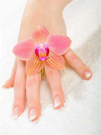 simsearch:400-06061806,k - beautiful hand with perfect french manicure on treated nails Stock Photo - Budget Royalty-Free & Subscription, Code: 400-04312776