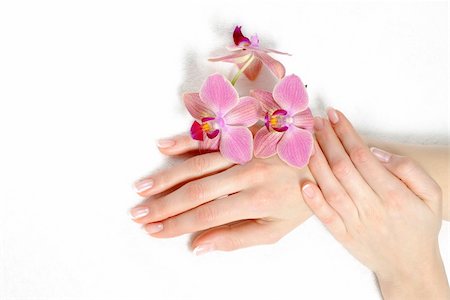 simsearch:400-06061806,k - Beautiful hand with perfect nail french manicure and purple orchid flowers. isolated on white background Stock Photo - Budget Royalty-Free & Subscription, Code: 400-04312779