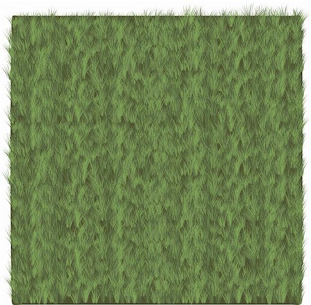 simsearch:400-04324218,k - Grass pattern Stock Photo - Budget Royalty-Free & Subscription, Code: 400-04312822