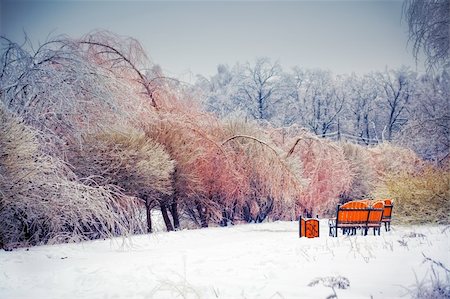 simsearch:400-06852329,k - The winter park after ice rain Photographie de stock - Aubaine LD & Abonnement, Code: 400-04313322