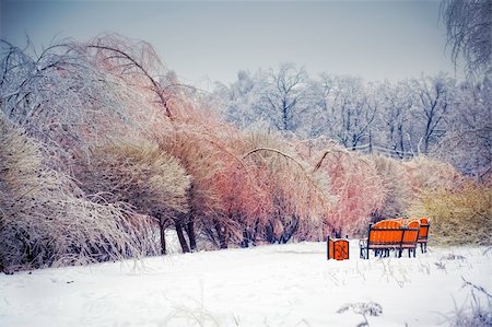 The winter park after ice rain Stock Photo - Budget Royalty-Free & Subscription, Code: 400-04313322