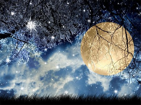 Full moon at winter night in wood. Stock Photo - Budget Royalty-Free & Subscription, Code: 400-04324040