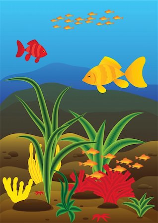 simsearch:400-07171376,k - Marine life with fish and other marine life Stockbilder - Microstock & Abonnement, Bildnummer: 400-04324152