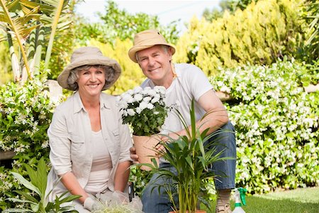 simsearch:400-05314664,k - Senior couple looking at the camera in the garden Stock Photo - Budget Royalty-Free & Subscription, Code: 400-04324831