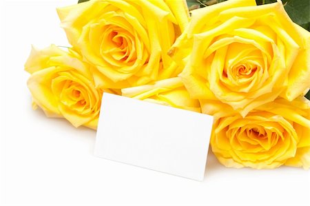 simsearch:400-03974303,k - roses with empty card Photographie de stock - Aubaine LD & Abonnement, Code: 400-04324905