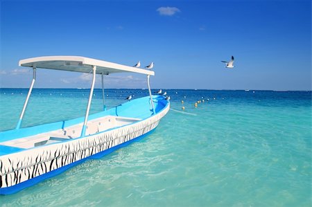blue boat seagulls Caribbean in  turquoise sea Stock Photo - Budget Royalty-Free & Subscription, Code: 400-04325016