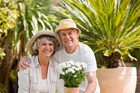 Senior couple looking at the camera in the garden Stock Photo - Budget Royalty-Free & Subscription, Code: 400-04325197