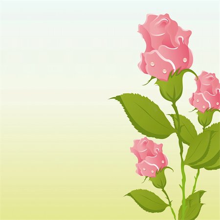 simsearch:400-04331987,k - beautiful roses background Foto de stock - Super Valor sin royalties y Suscripción, Código: 400-04325374