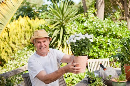 Senior man with flowers in his garden Photographie de stock - Aubaine LD & Abonnement, Code: 400-04326109