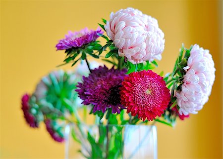 simsearch:628-01278403,k - bunch of beautiful flowers in a vase. pions Fotografie stock - Microstock e Abbonamento, Codice: 400-04326253