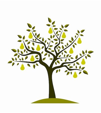 fruit tree silhouette - vector pear tree on white background, Adobe Illustrator 8 format Stock Photo - Budget Royalty-Free & Subscription, Code: 400-04326478
