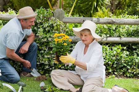 Mature couple working in the garden Stock Photo - Budget Royalty-Free & Subscription, Code: 400-04327114