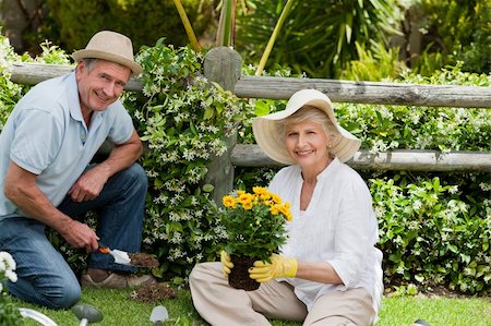 Mature couple working in the garden Stock Photo - Budget Royalty-Free & Subscription, Code: 400-04327115
