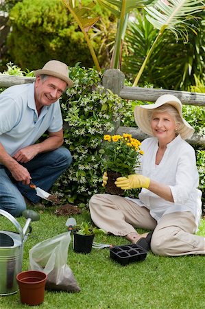 simsearch:400-05314664,k - Mature couple working in the garden Stock Photo - Budget Royalty-Free & Subscription, Code: 400-04327116