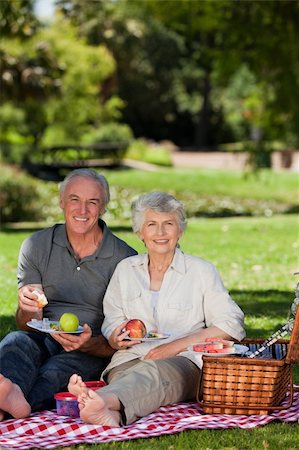 simsearch:400-05711437,k - Retired couple  picnicking in the garden Stock Photo - Budget Royalty-Free & Subscription, Code: 400-04327449