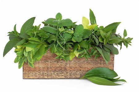 Herb leaf sprigs of rosemary, bay, oregano, golden marjoram, mint varieties, variegated and purple sage  in an old rustic wooden  box, isolated over white background. Stockbilder - Microstock & Abonnement, Bildnummer: 400-04327820