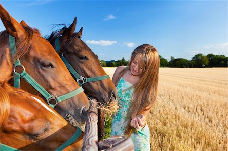 horse and blond girl in paddock on summers day Stockbilder - Microstock & Abonnement, Bildnummer: 400-04328208