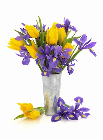 simsearch:400-06356460,k - Purple iris and yellow tulip flower arrangement in an aluminum vase and loose isolated over white background. Foto de stock - Super Valor sin royalties y Suscripción, Código: 400-04328818