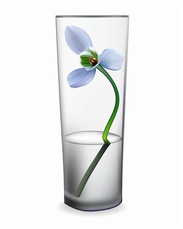 snowdrop flower in a glass vase Photographie de stock - Aubaine LD & Abonnement, Code: 400-04328925