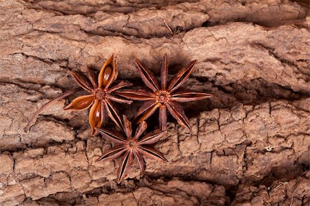 Anise stars on old tree bark close up Stock Photo - Budget Royalty-Free & Subscription, Code: 400-04329608