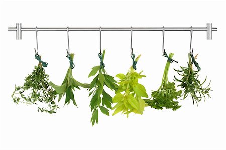 dry cured - Herb leaf sprigs drying on a stainless steel rack, thyme, bergamot, lovage, golden marjoram, parsley and rosemary, isolated over white background. Stock Photo - Budget Royalty-Free & Subscription, Code: 400-04329624