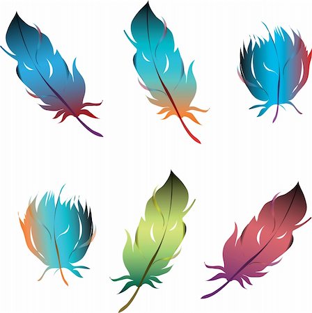 simsearch:400-07956395,k - isolated feathers set object on white background Stock Photo - Budget Royalty-Free & Subscription, Code: 400-04320047